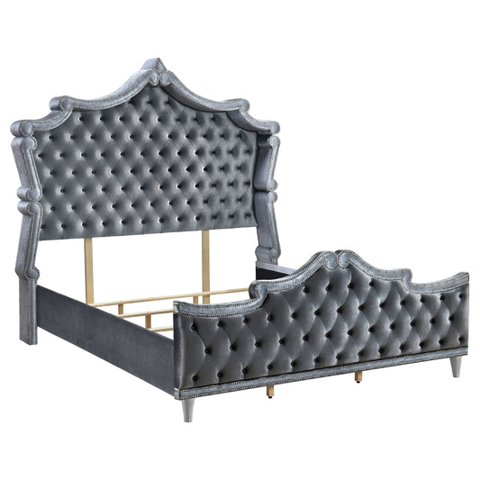 Antonella Upholstered Queen Panel Bed Grey