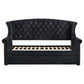 Scarlett Upholstered Twin Daybed with Trundle Black